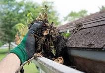 Gutter Cleaning Prahran—Keep Your Home Safe with Expert Help